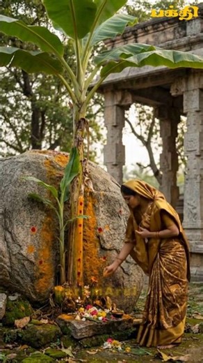 தனியாக படுத்திருக்கும் ராமர்! கண் நோய் தீர்க்கும் அதிசய கோவில் Thiruvelliyangudi Divya Desam