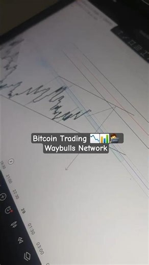 Bitcoin Trading 📉📊👨‍💻 Waybulls Network