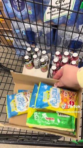 Dollar Tree Penny Shopping Tips and Finds