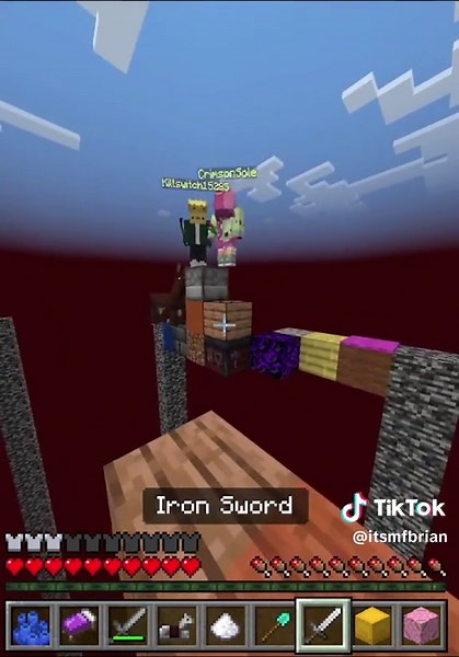 Brian (@itsmfbrian) - Exciting Minecraft Multiplayer Moments: Fun and Surprises