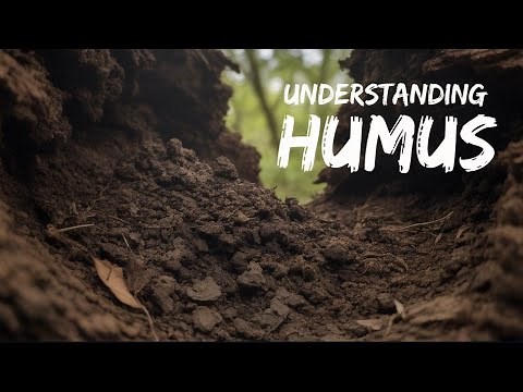 The Dark Secret of Fertile Soil ; Understanding Humus Formation