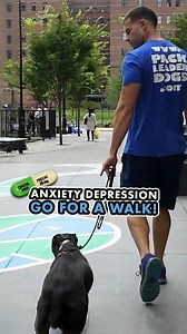 Humans are becoming more and more medicated as a society as the years go by.⁣ ⁣ SSRI's (Selective Serotonin Reuptake Inhibitors) are a medication 💊 that has been on the rise decade after decade for humans.⁣ ⁣ This trend has now moved into the dog world where more and more dogs are being put on psychotropic medications by Veterinarians and Veterinary Behaviorists.⁣ ⁣ Just the other day I watched a trainer who labels themself as "a dog behavior expert" explain why she has her own personal dog on 