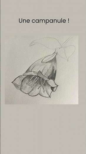👉 Draw a flower easily 🌸 (beginner)