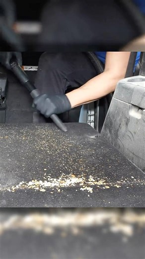 Vehicle Vacuuming ASMR!