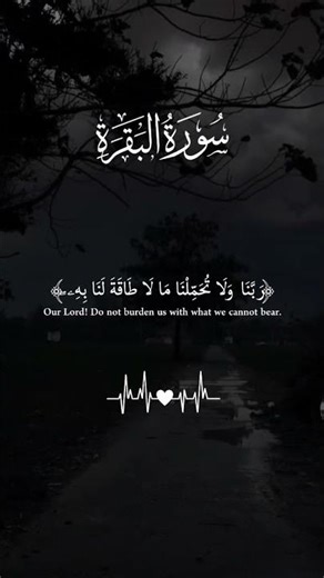 surah Bakra translation with English #whatsappstatus #islamicvideo #morevideosislamic