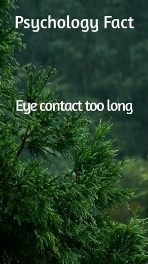 “The Truth About Staring”