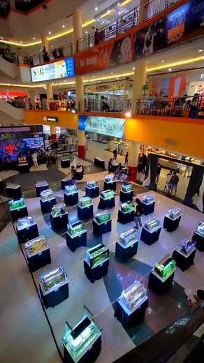 Aquascape Competition and Battle: Underwater Artistry at Its Finest