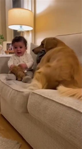 Dog Brings Blanket When Baby Sneezes