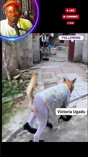 She’s Not Just a Dog… She’s a Whole Woman in Disguise! 🤣