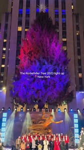 Can New York be any more magical? ✨ Just imagine finishing the work day and seeing this in person  Turn that "maybe next year?" to a "definitely next year" with an internship abroad  | The Intern Group | Facebook