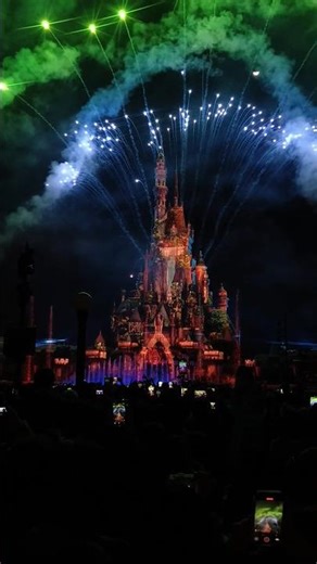 you are never too old for disney #shorts #disneyland #hongkong #fireworks #magical #moana