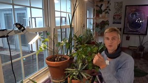 How to use grow lights for indoor plants - complete guide