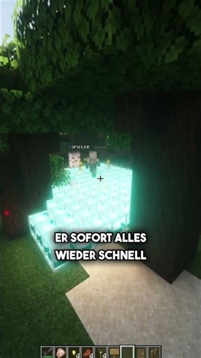 Erwischt! 🚨 Dieser Spieler cheatet auf meinem Server 😳 #java #minecraft #mcpe