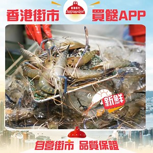 📱【香港街市 APP 登場】🛒 新鮮 x 方便 x 抵買，一APP搞掂晒！💥 🥬🦐 想買到超新鮮、超生猛嘅食材？即刻上《香港街市APP》！ 🌟 自家經營街市，檔主直送，不經代購 ➤ 品質有保證！ 🛍️ 一應俱全，海鮮、蔬果、肉類樣樣有～ 🎁 新會員仲有獨家優惠等緊你！ 立即下載：https://onelink.to/hkemarket_uspvideo1 新會員即賞：冰鮮雞(一隻)及免運費！ 入手靚料無難度！ ==================================== 🔔掌握最新資訊： IG: https://www.instagram.com/hkmarket_eshop YouTube: https://www.youtube.com/@hkmarket_eshop #香港街市 #街市直送 #香港生活 #新鮮食材 #唔經代購 #安心選購 #新會員優惠 | 香港街市 Eshop