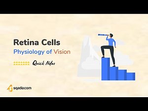 Physiology of Vision | Retina Cells | Human Anatomy and Physiology of the Eye