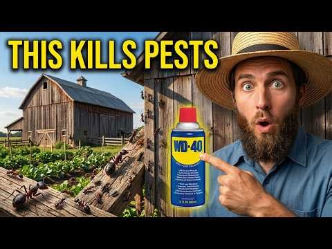 9 Amish WD-40 Hacks That Banish Pests For Good Exterminators call it genius