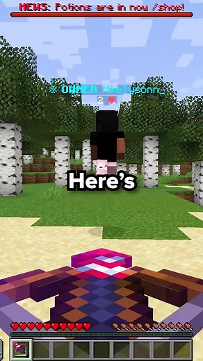 Here is how to get a kill on the worlds hardest minecraft server #minecraft #eu #donutsmp