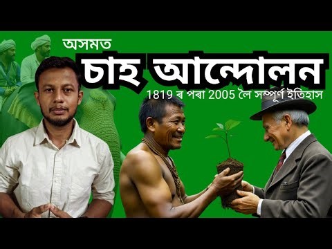 অসমত চাহ বিপ্লৱ । The Complete History of Assam Tea.1819 to 2005.