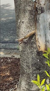 edTPA Prep Assignment - 10 second video edit