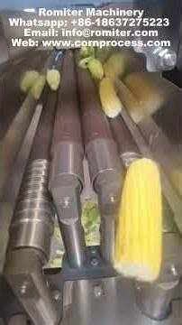 Small Rubber Roller Sweet Corn Husk Removing Machine