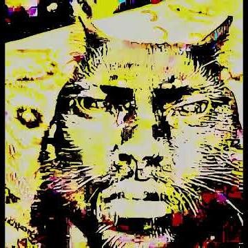 11 SUBSCRIBER SPECIAL