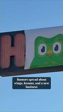 Duolingo owl finds temporary roost in vacant Hooters in Beaumont