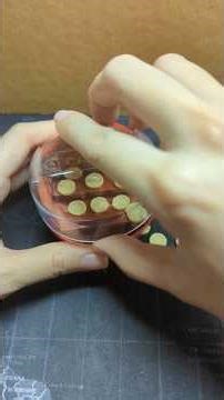 [Capsule Unboxing] Yell lucky medal game red ver.