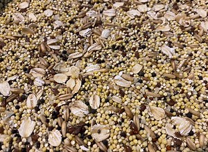 Blueberry's Tiny Bird Seed Mix