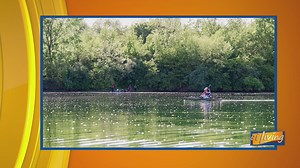 Experience C-U: Top Things to Do This Summer in Champaign-Urbana