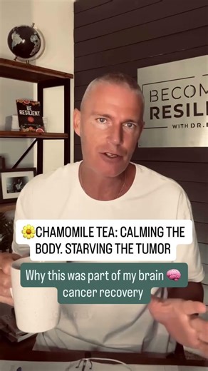 🌼Chamomile Tea: The Sleepytime Drink That Silences