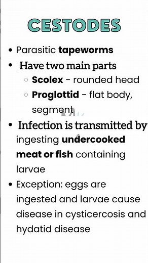 What are cestodes? Cysticercosis, Hydatid Disease #parasitology #medzukhruf #cestodes #microbiology