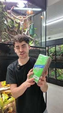 Bioactive Terrariums Made Easy with ProRep