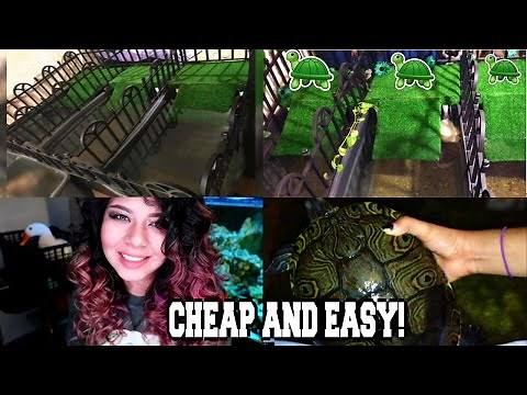 DIY EPIC INDOOR TURTLE POND SETUP BUILD! (HOW TO)