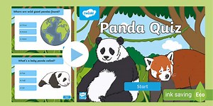 Panda Quiz PowerPoint
