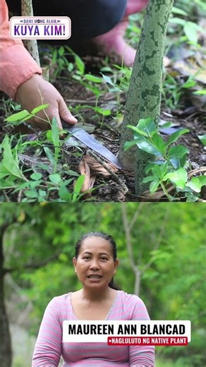 Halamang pungapong na puwedeng kainin, alamin! | Dami Mong Alam, Kuya Kim!