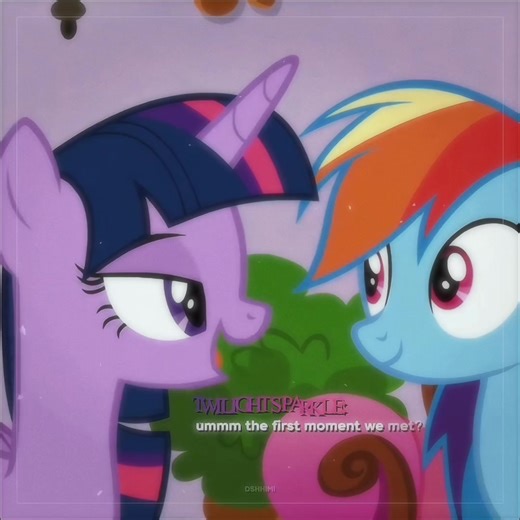 My Little Pony Friendship Moments with Twilight Sparkle and Rainbow Dash