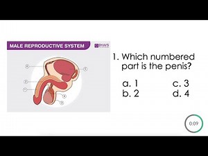 Grade 5- HUMAN REPRODUCTIVE SYSTEM || SCIENCE 5 K12 Review Test