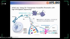 APExBIO组学介绍_ATAC测序
