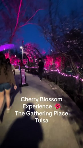 Cherry Blossom Experience at Gathering Place Tulsa