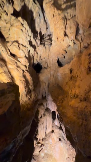 Lake it Easy Log Cabin | ✨ Even though Raystown Lake is closed for the season, staying at our cabin still puts you minutes away from some awesome adventures — like... | Instagram