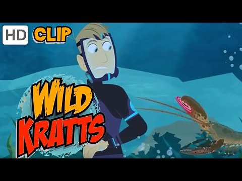 Wild Kratts - Lobster Life