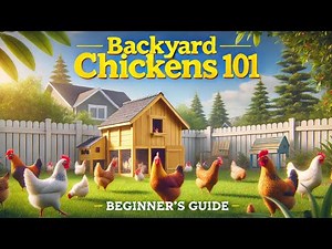 Backyard Chickens 101: A Beginner's Guide to Raising Happy Hens