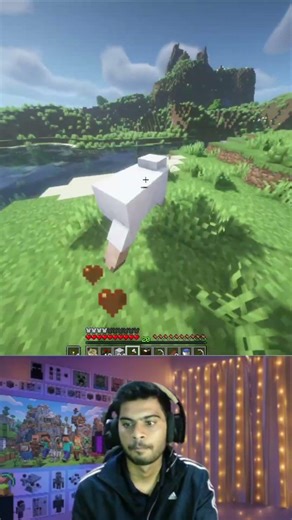 When You remembered Pink Sheep Is Rare | Accidentally Found Pink Sheep #minecraftsmp #minecraft