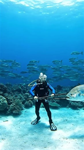 Explore the Thrill of Fishing Adventures