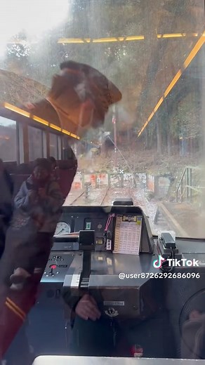 箱根登山鉄道出山信号場で最後のスイッチバック❗️短い時間で3回もスイッチバック見ることができる鉄道はここだけかもしれませんね🫡 #箱根登山鉄道 #箱根登山電車 #スイッチバック #3回 #出山信号場 #塔ノ沢駅 #箱根湯本駅#強羅駅#大平台 #箱根#80‰#鉄道好き