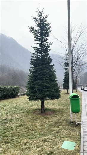 Tufandag Mountain Resort Gabala Azerbaijan