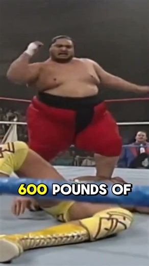 97K views · 483 reactions | RAW (1995) – vs Razor Ramon #WWERaw95 #Yokozuna #RazorRamon #wcwthunder #wwewrestler #shortvideo #hashtagfbreelsviral #fblifestyle | Dripora Lab | Facebook