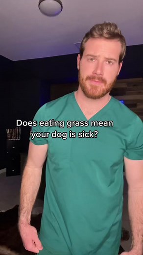 Hunter Finn on TikTok