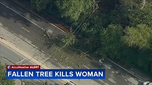 Woman killed after SUV hits fallen tree during severe storms in Wilmington, Delaware identified