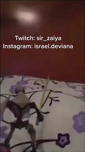 Videos de Sir Zaiya (@sir_zaiya) con “sonido original - Sir Zaiya”